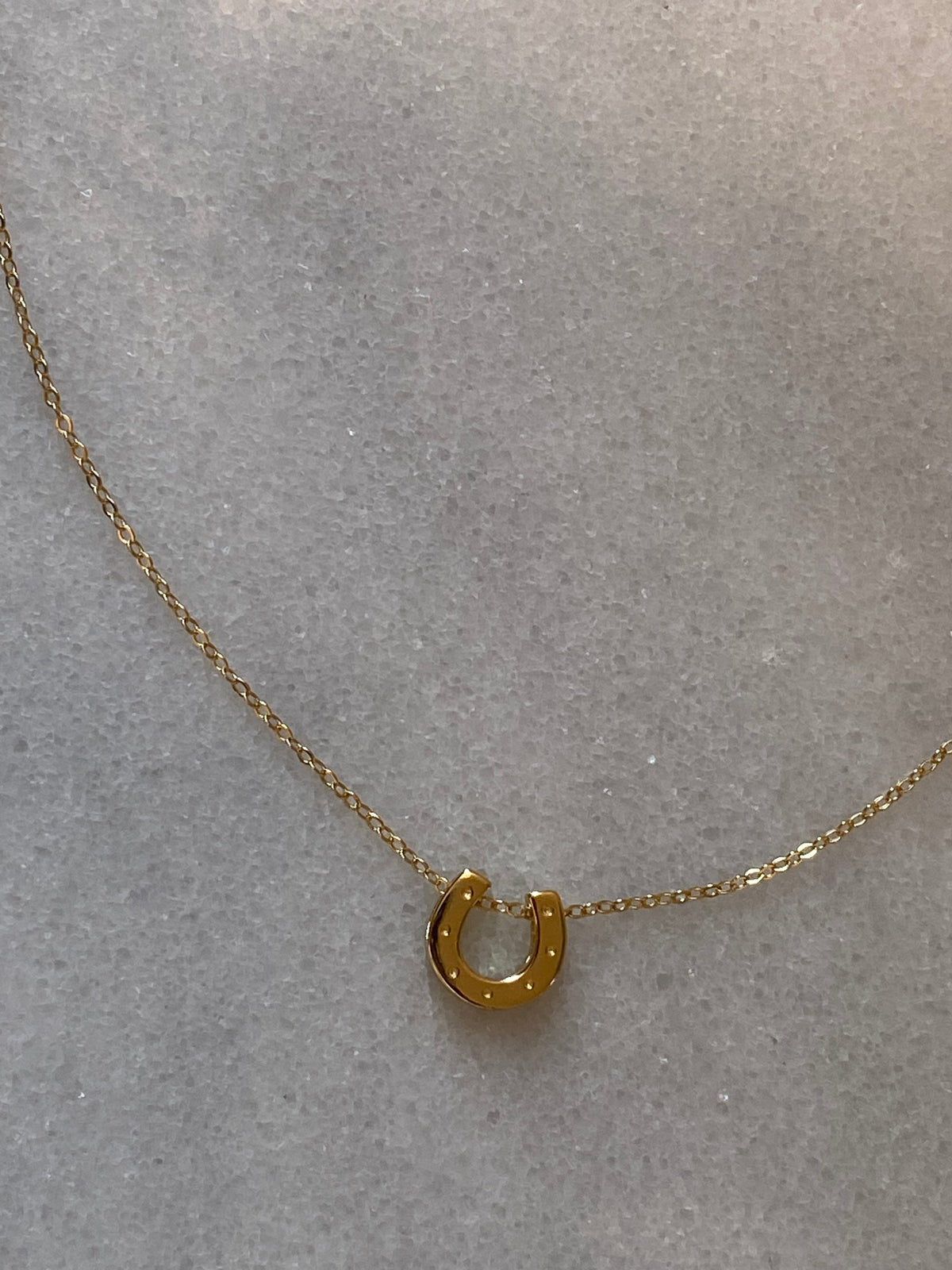 Horseshoe Charm Necklace