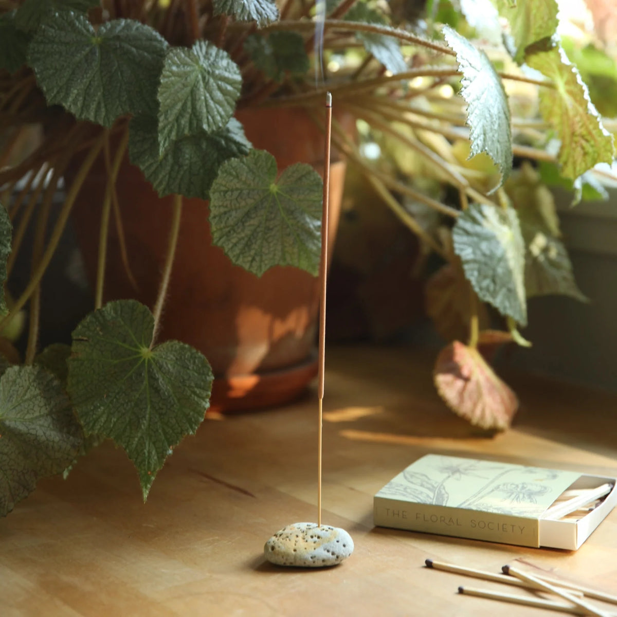 Essential Oil Incense in Cedarwood & Palo Santo
