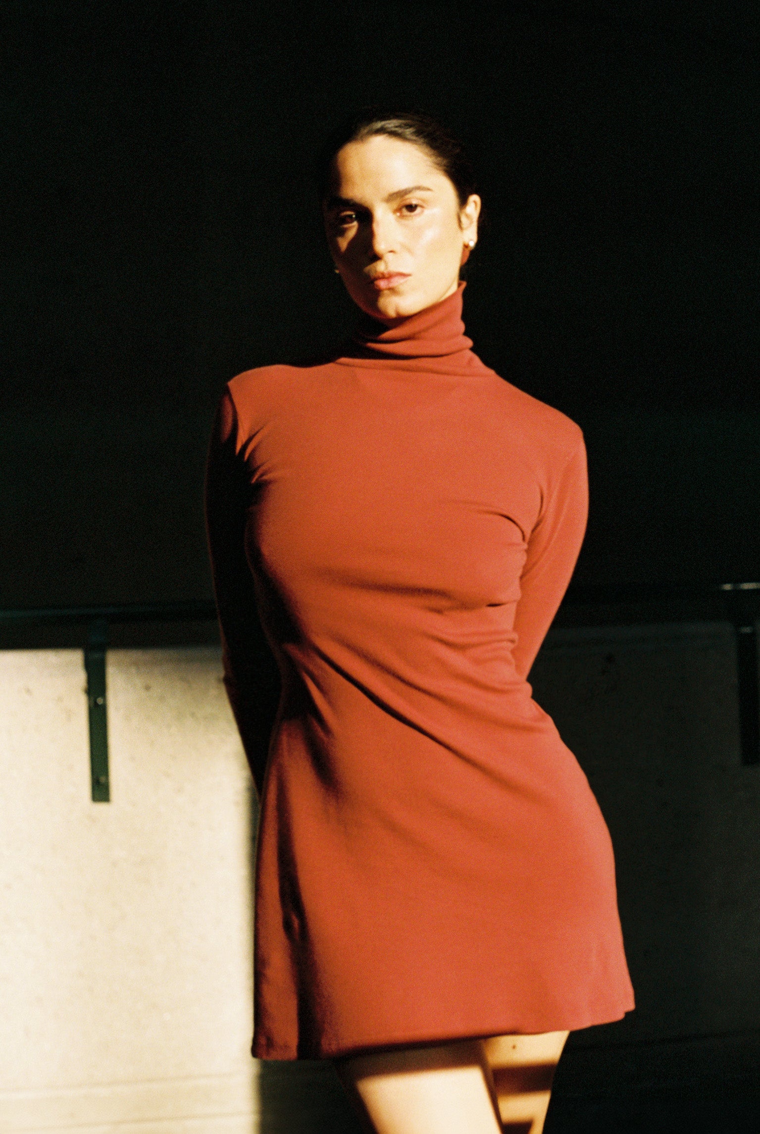 Bellevue Turtleneck Long Sleeve Mini Dress in Sangria — back view