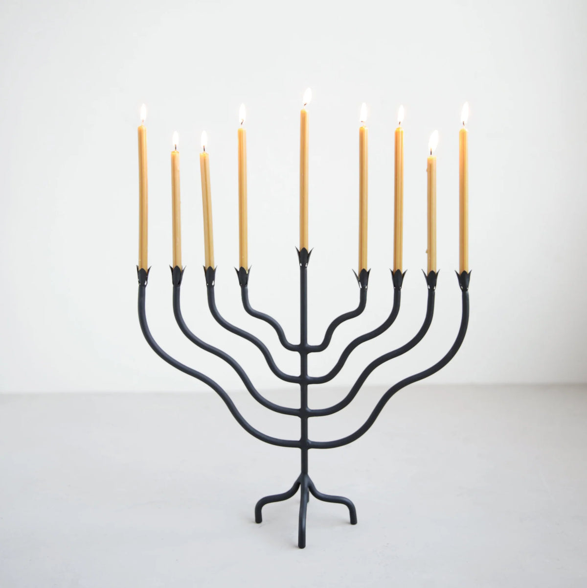 Beacon Menorah — view 3