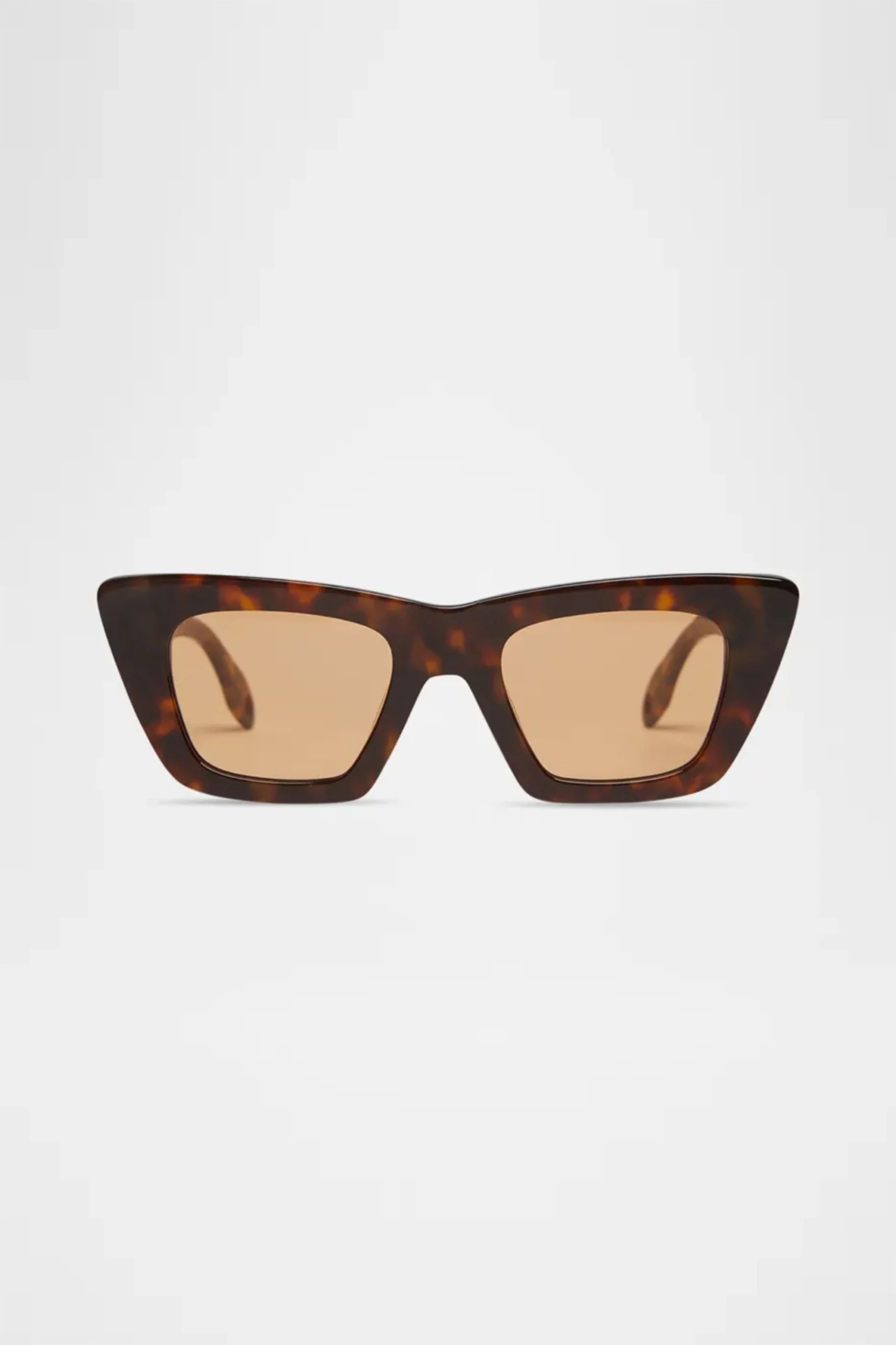 Lori in Brown Tortoise